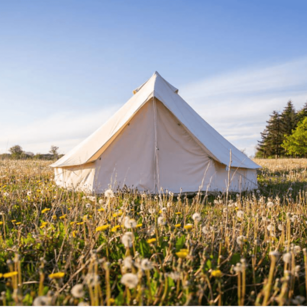 Glamping hos Holmely